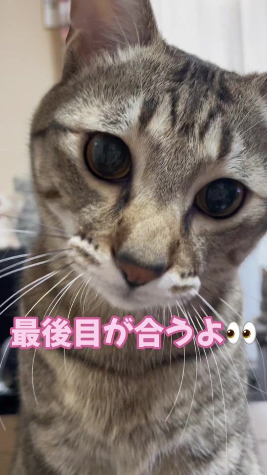 TikTok video thumbnail by ramu_rio