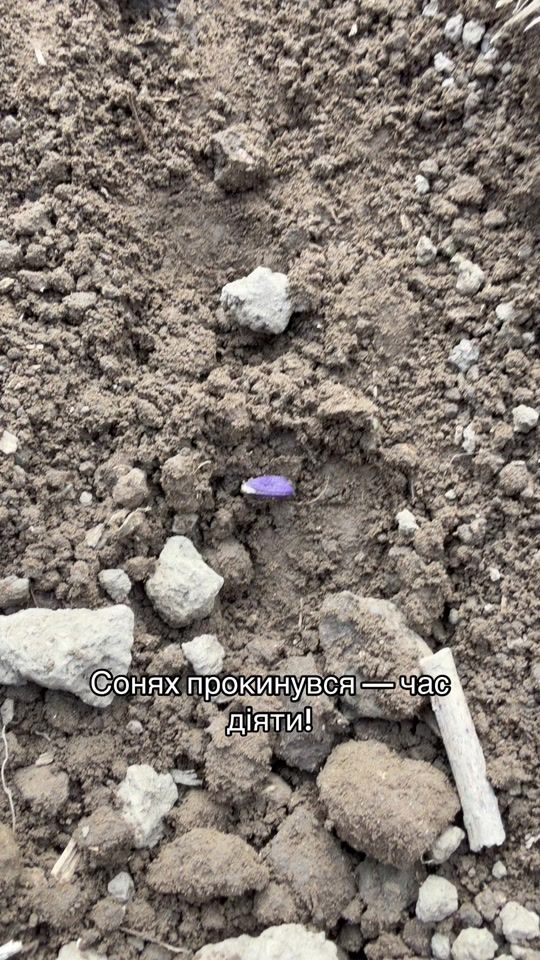 TikTok video thumbnail by viktoragro