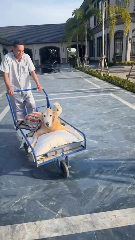 TikTok video thumbnail by madame168
