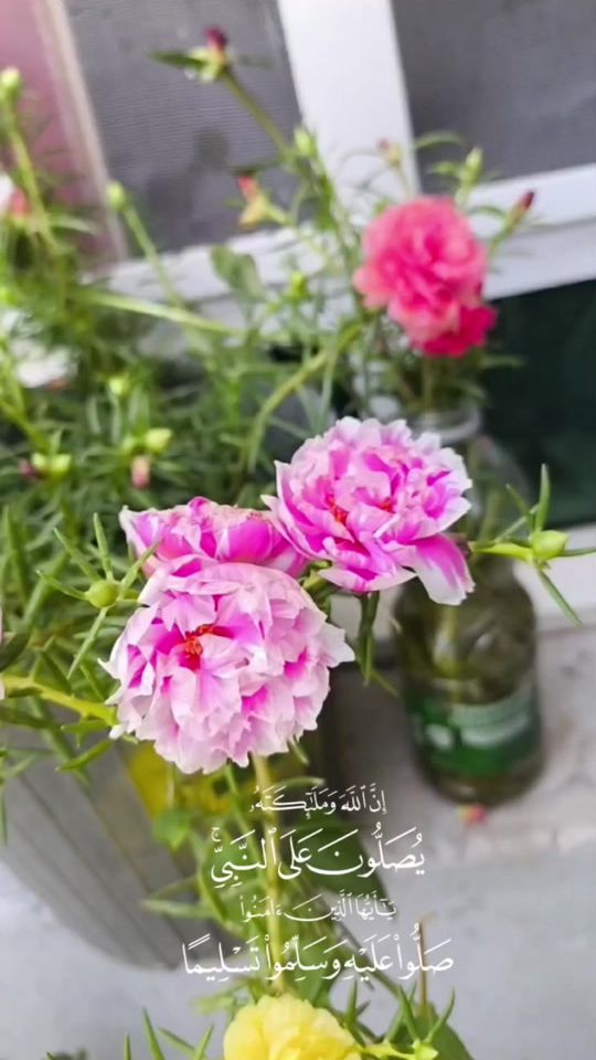 TikTok video thumbnail by nan708090