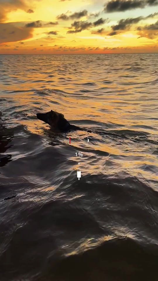 TikTok video thumbnail by narda_rayniel