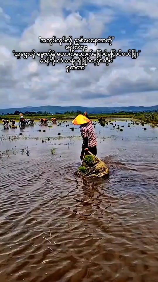 TikTok video thumbnail by nanchoaye08