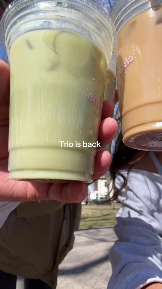 TikTok video thumbnail by gabouboisvert