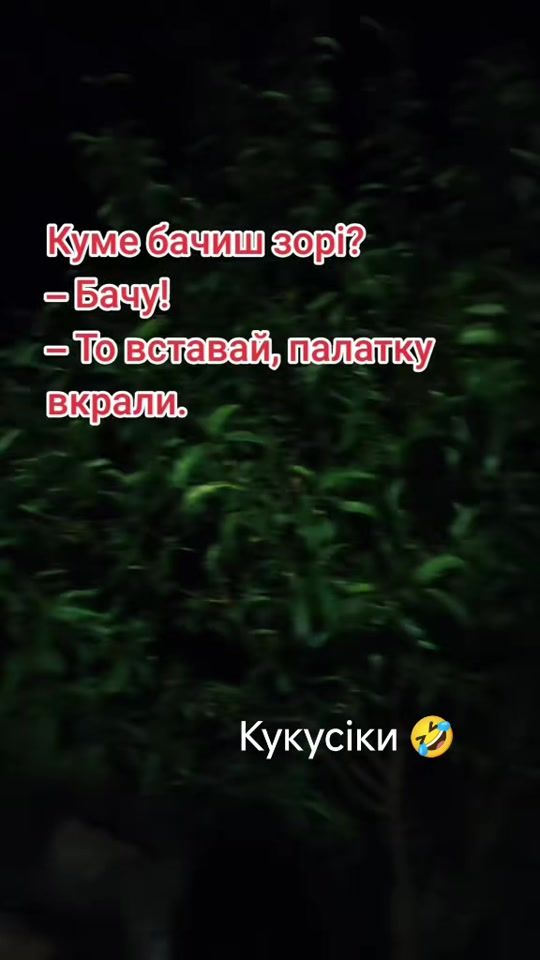 TikTok video thumbnail by ._tania