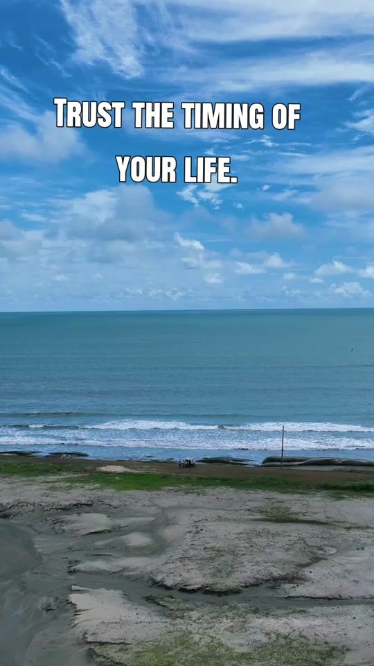 TikTok video thumbnail by coleensomonic4