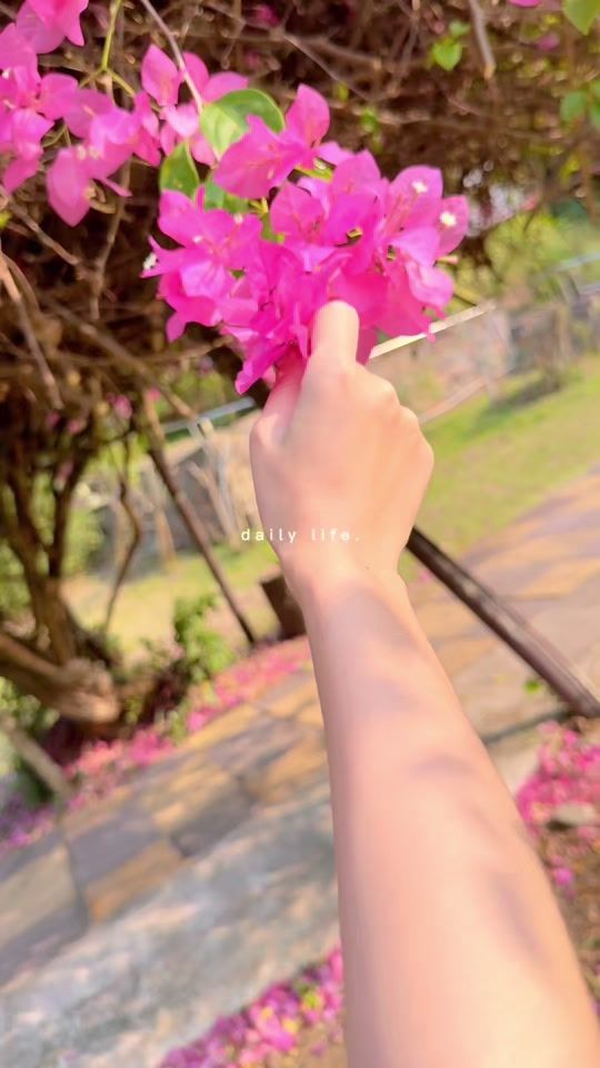 TikTok video thumbnail by irismimosas8