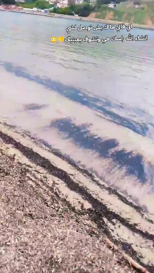 TikTok video thumbnail by tbk109