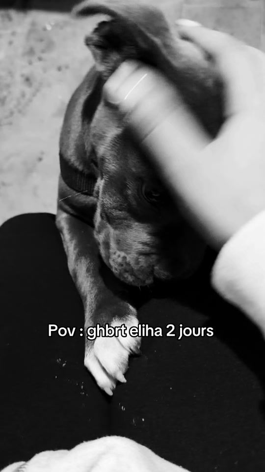 TikTok video thumbnail by ml.kaa61