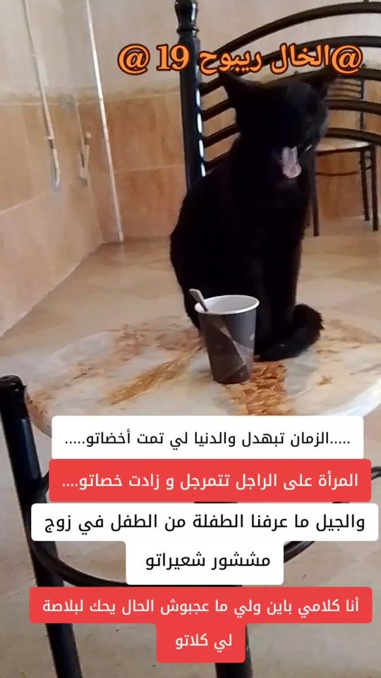 TikTok video thumbnail by riboh.19