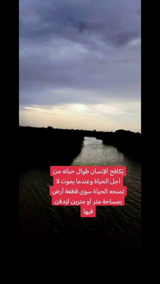 TikTok video thumbnail by _____2001____