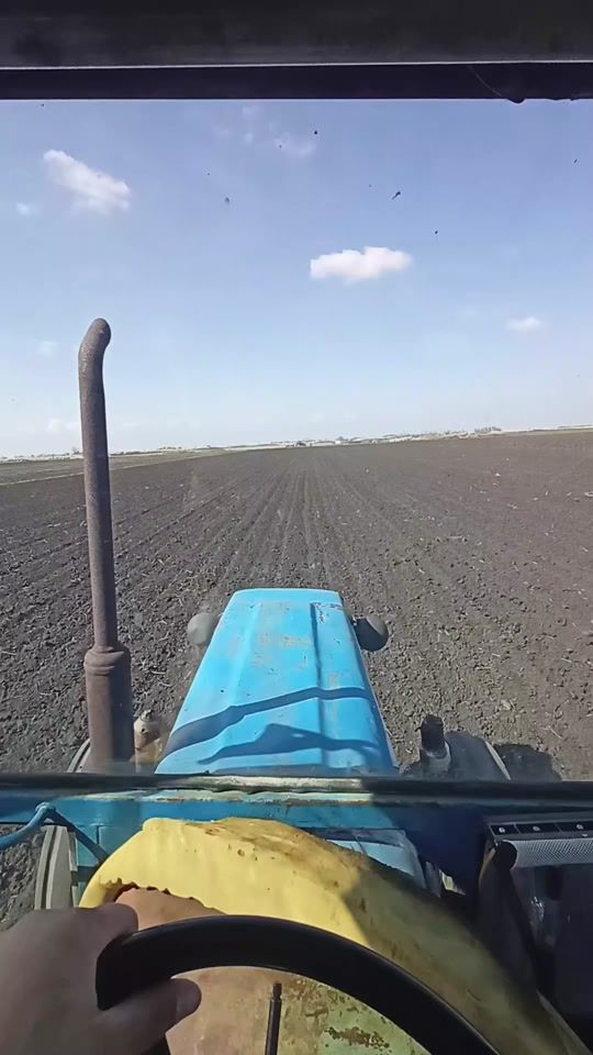 TikTok video thumbnail by nemanjaagrolive