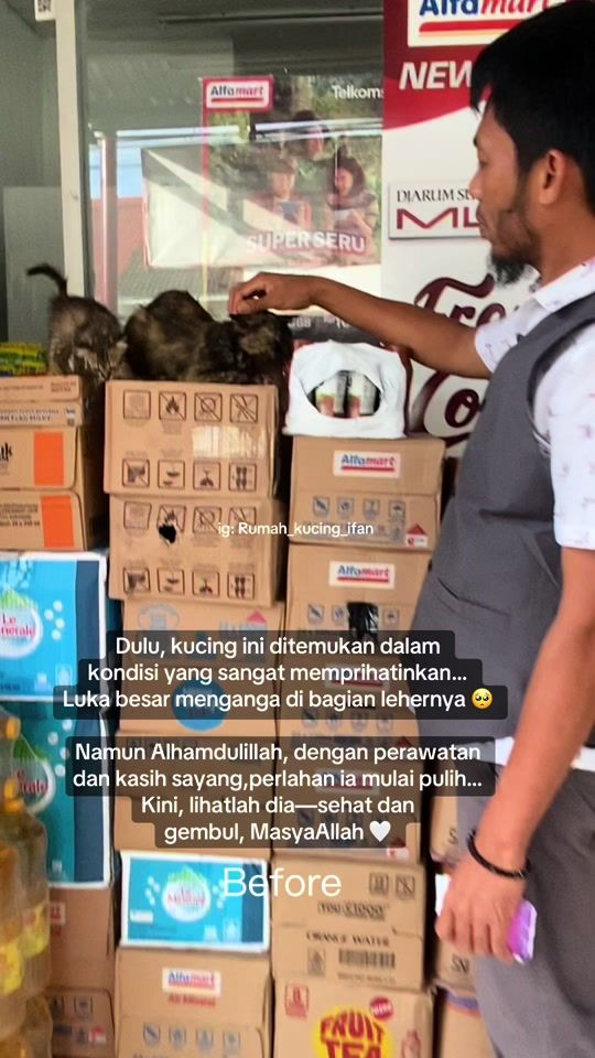 TikTok video thumbnail by rumahkucingifan2