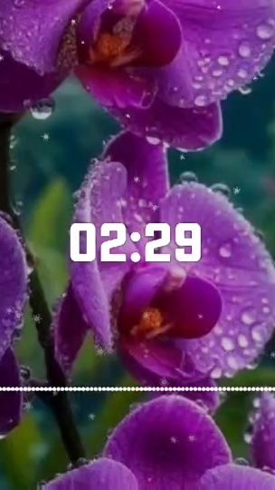 TikTok video thumbnail by shafeq.tanha