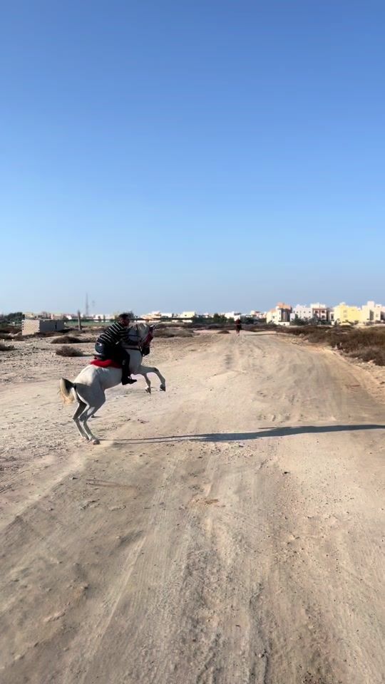 TikTok video thumbnail by adnan94944
