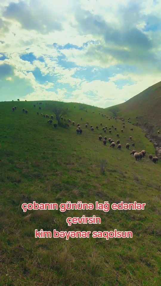 TikTok video thumbnail by quba_0040