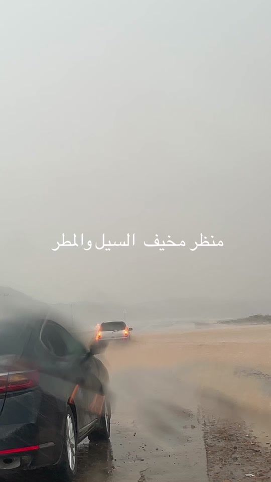 TikTok video thumbnail by algoore2