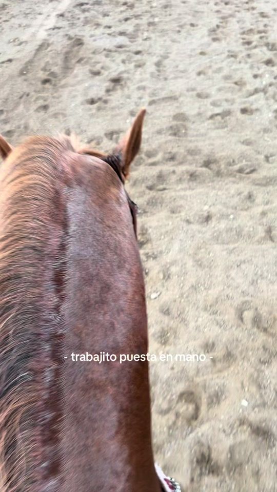 TikTok video thumbnail by titacanoo