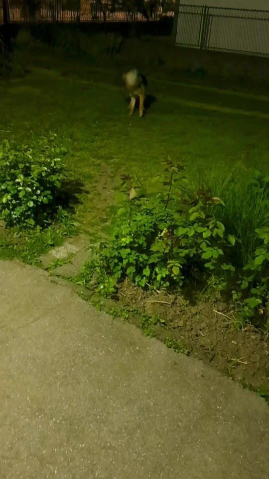 TikTok video thumbnail by pohovanaprepelica