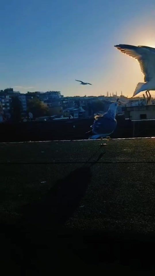 TikTok video thumbnail by sejada.havi