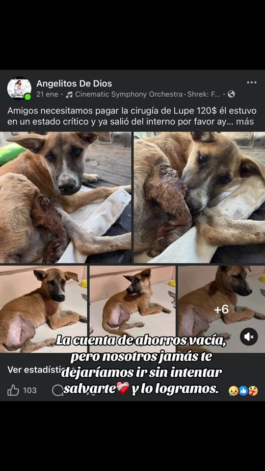 TikTok video thumbnail by angelito_dios