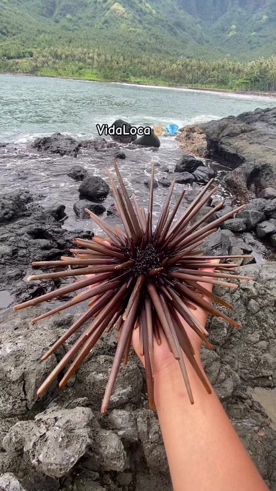 TikTok video thumbnail by miss_tamarii26