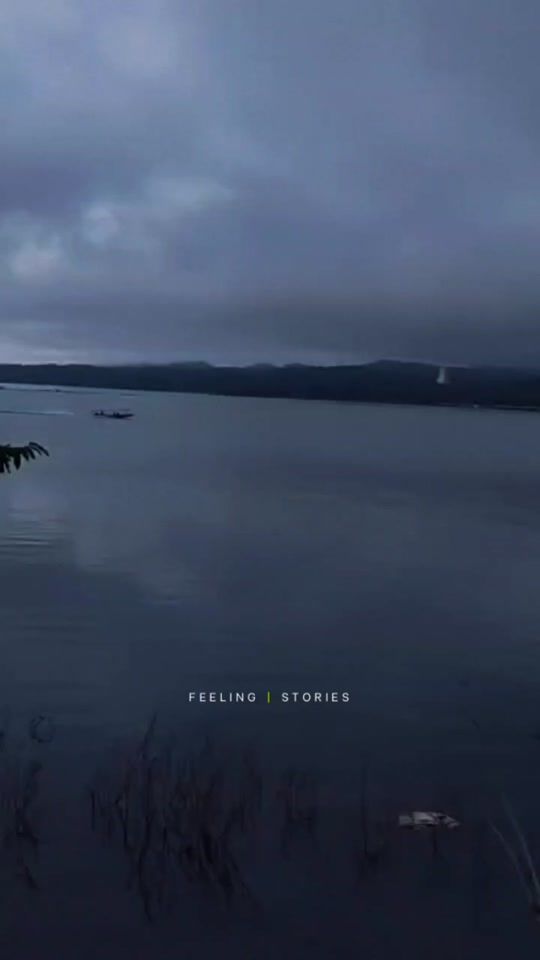 TikTok video thumbnail by ___tamagon
