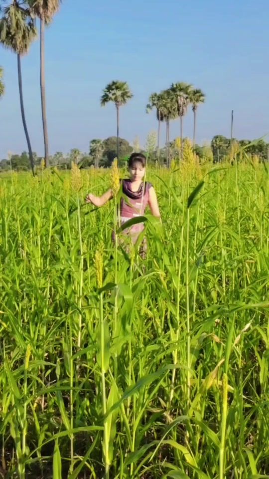 TikTok video thumbnail by moemama1562