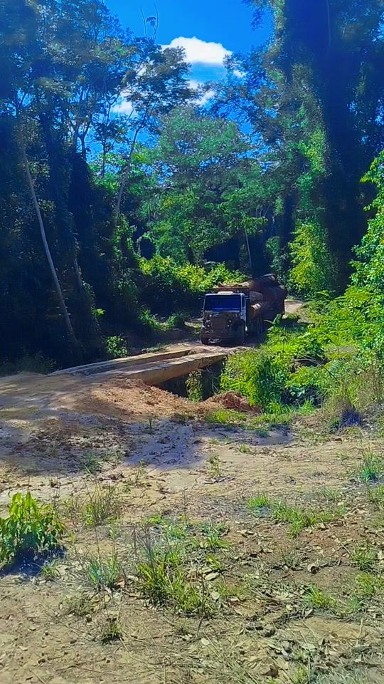 TikTok video thumbnail by geosilva811