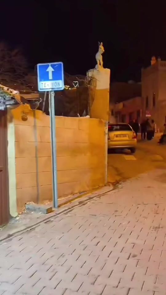 TikTok video thumbnail by kawtaat