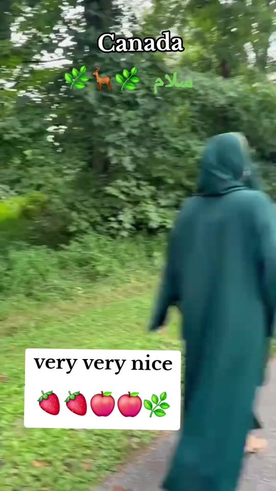 TikTok video thumbnail by elena.in.canad
