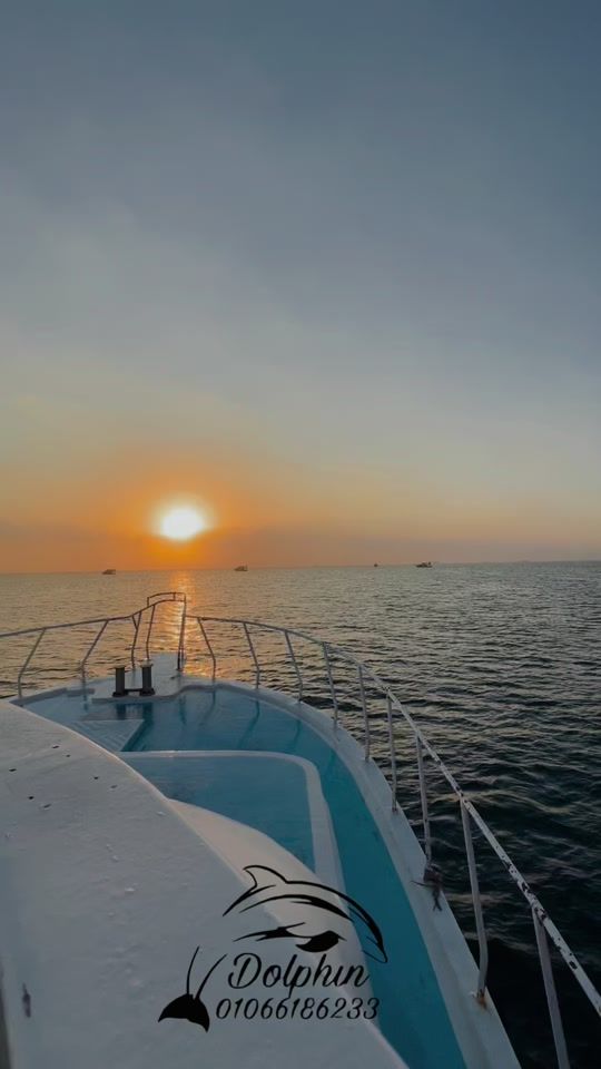 TikTok video thumbnail by yachtedolphin