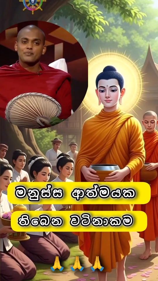 TikTok video thumbnail by buddha385