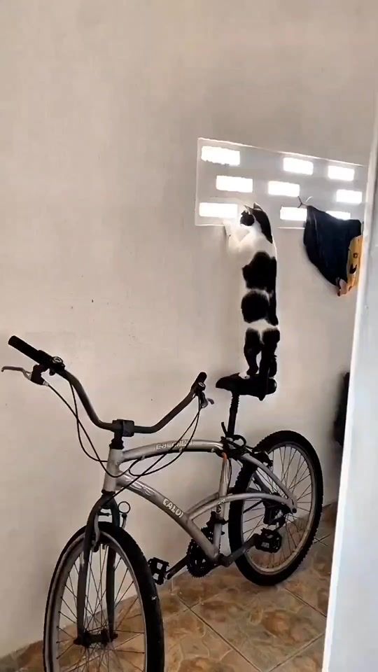 TikTok video thumbnail by kazagrande_2