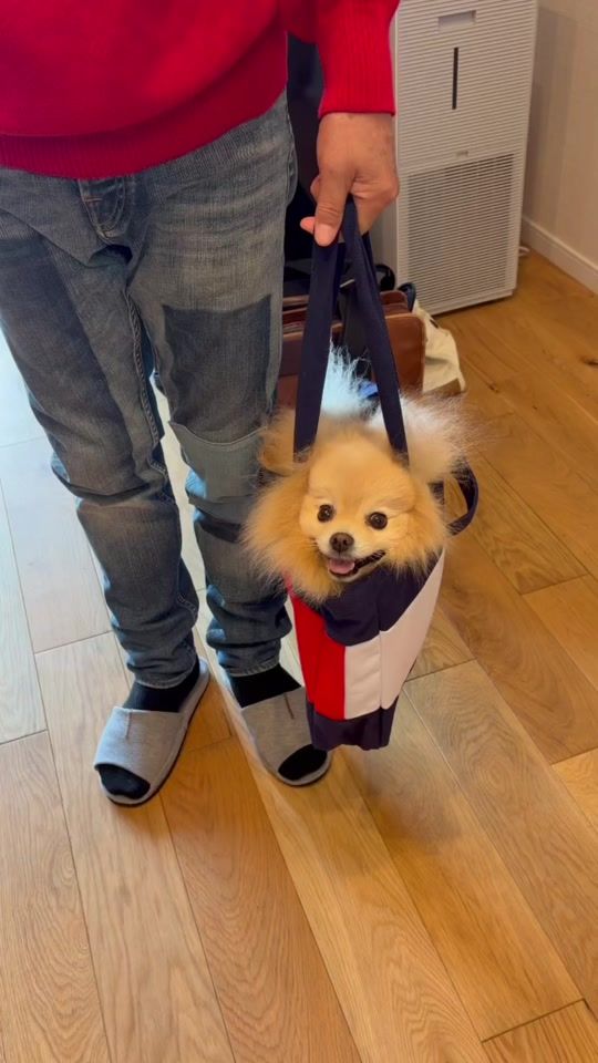 TikTok video thumbnail by 115tonton