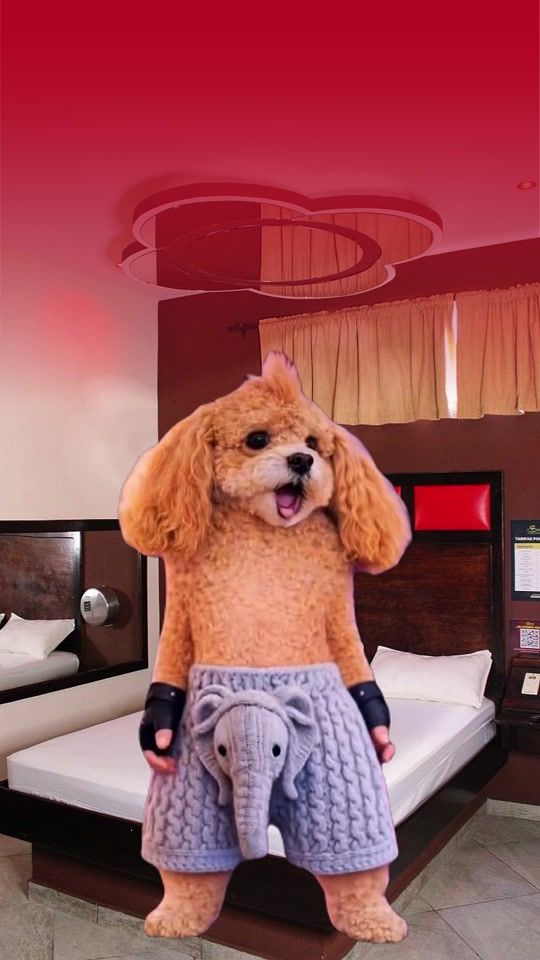 TikTok video thumbnail by secret_hoteles