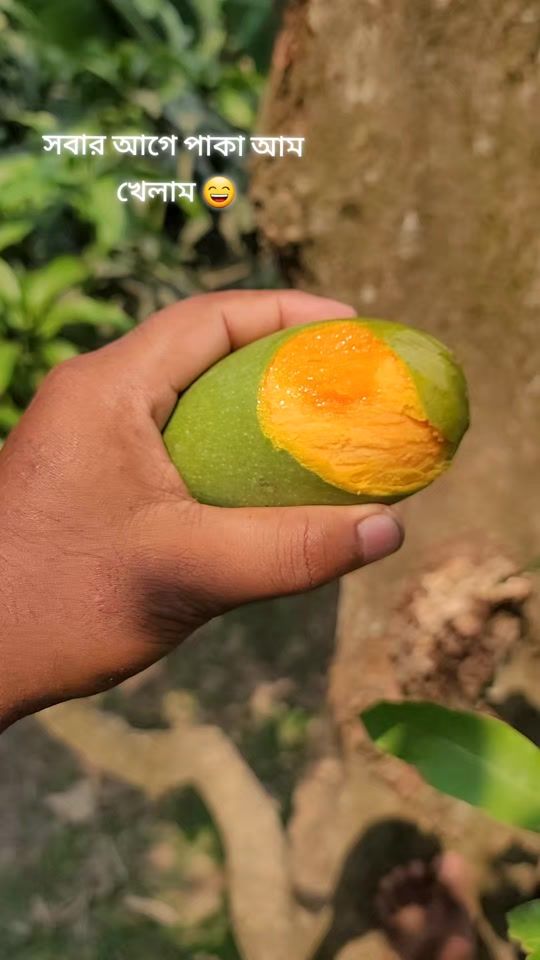 TikTok video thumbnail by md.jakir.cpm
