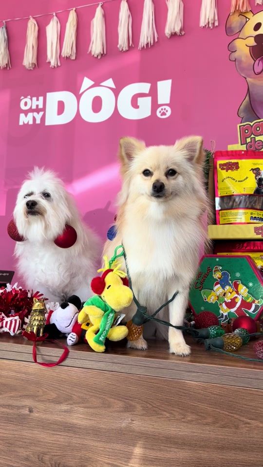 TikTok video thumbnail by ohmydogspa