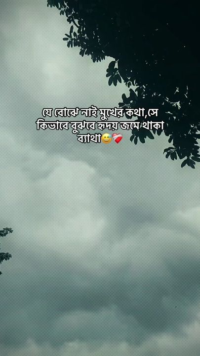 TikTok video thumbnail by jamil07x2