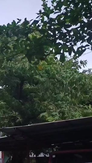 TikTok video thumbnail by tpm2024