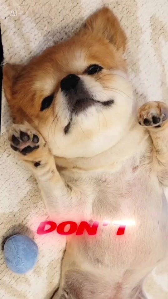 TikTok video thumbnail by tarachoa