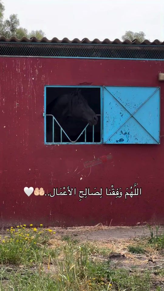 TikTok video thumbnail by 1957888.2
