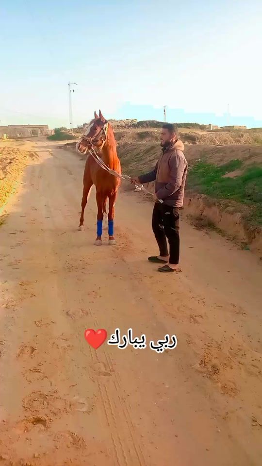 TikTok video thumbnail by benrbehmakrem