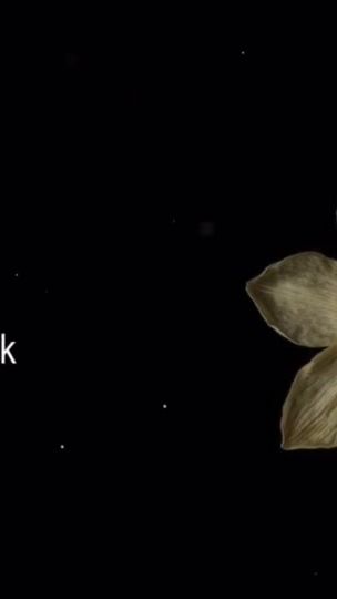 TikTok video thumbnail by _alblyrics