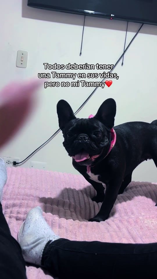 TikTok video thumbnail by nathu_aleja