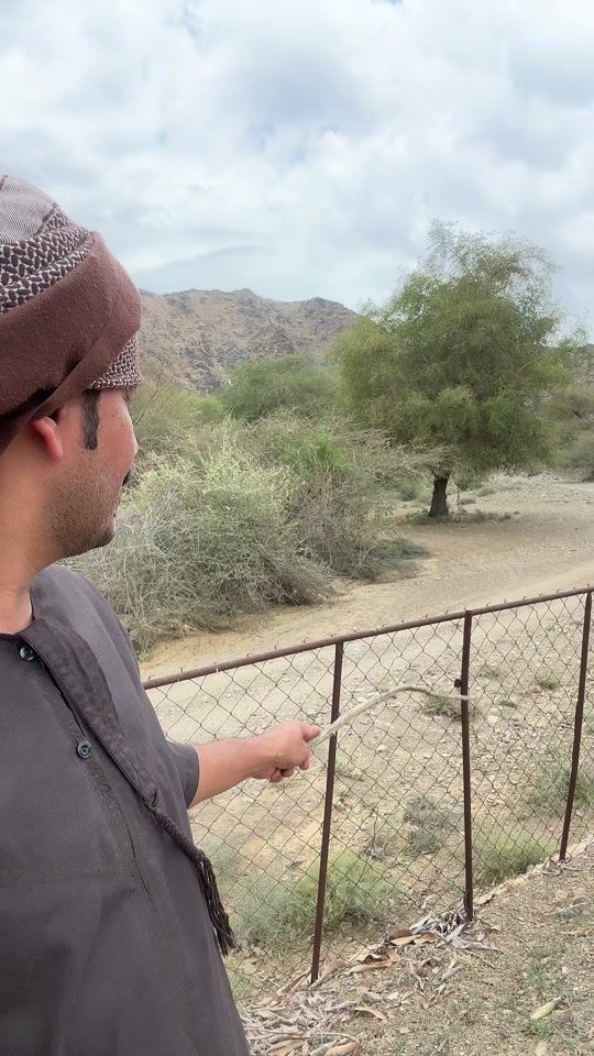 TikTok video thumbnail by ham_gamde