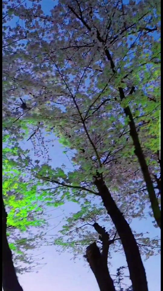 TikTok video thumbnail by _0237687