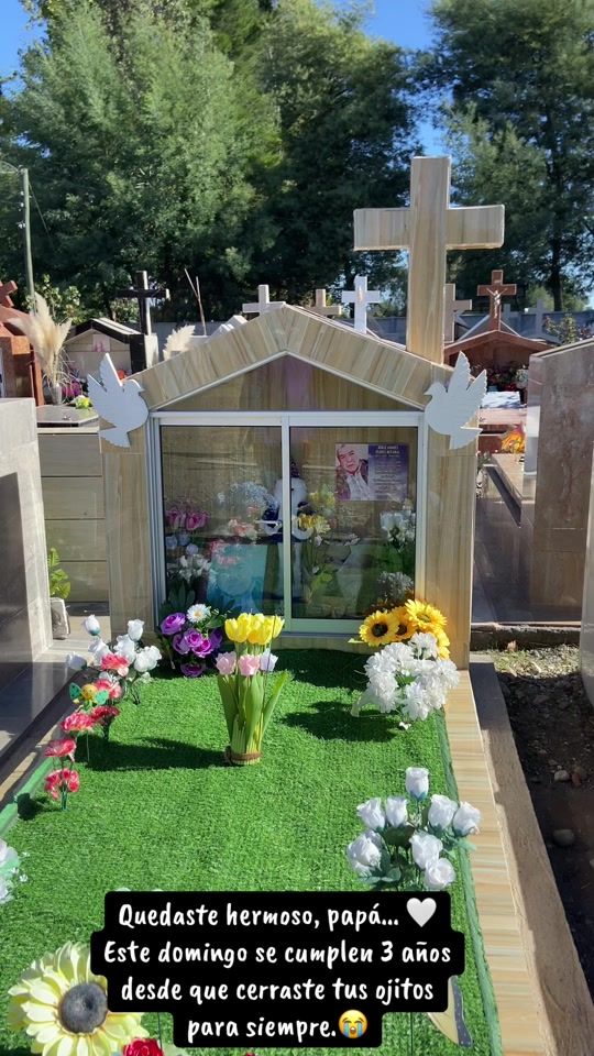 TikTok video thumbnail by publicidad249