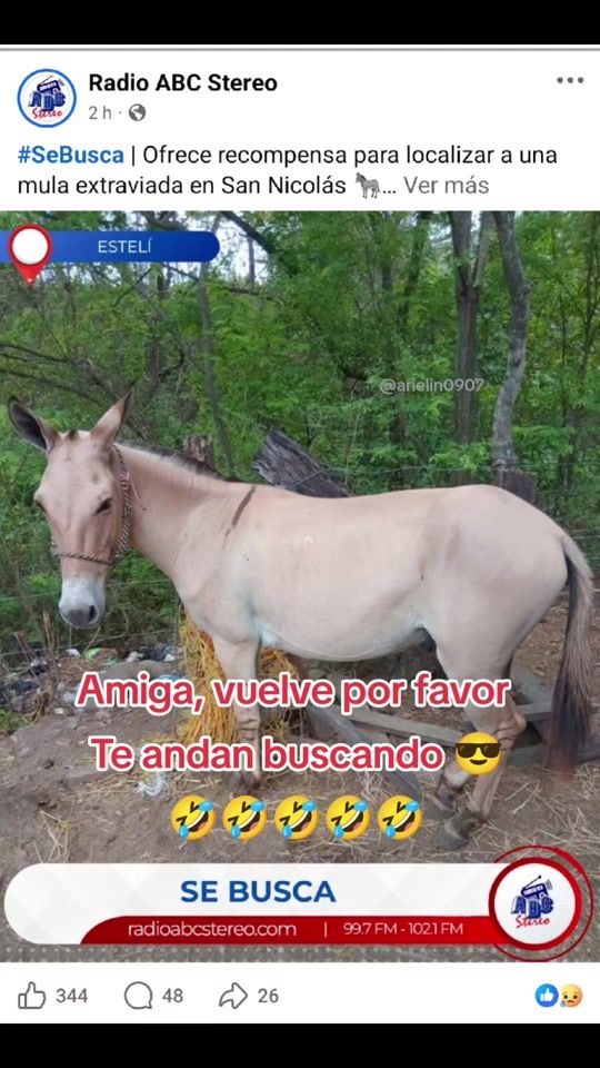 TikTok video thumbnail by arielin0907