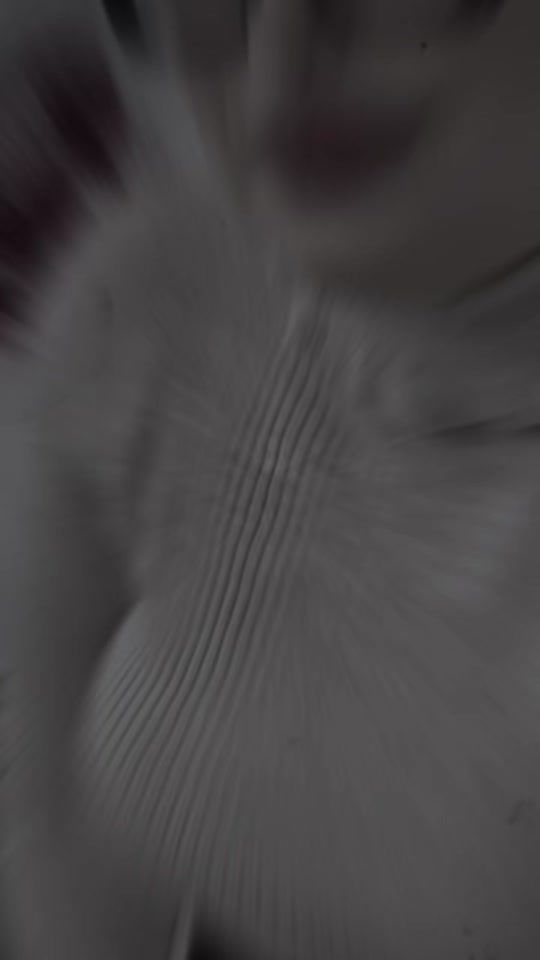 TikTok video thumbnail by onglerie180