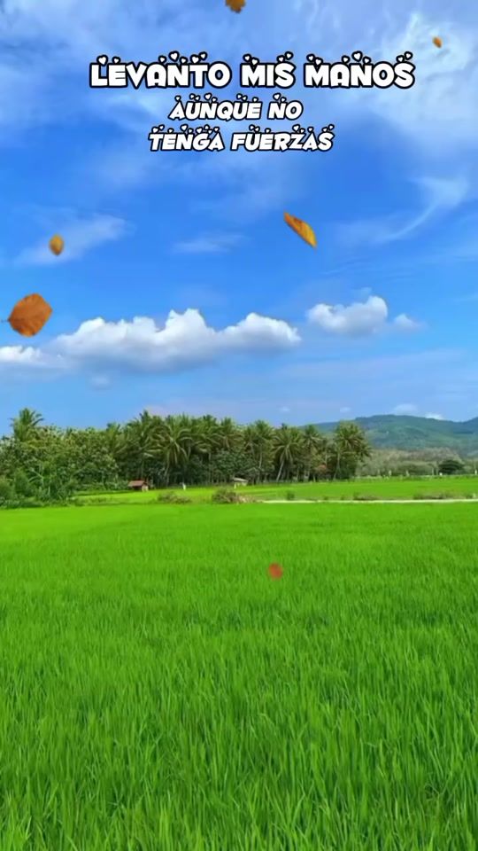 TikTok video thumbnail by yuster.trujillo.s